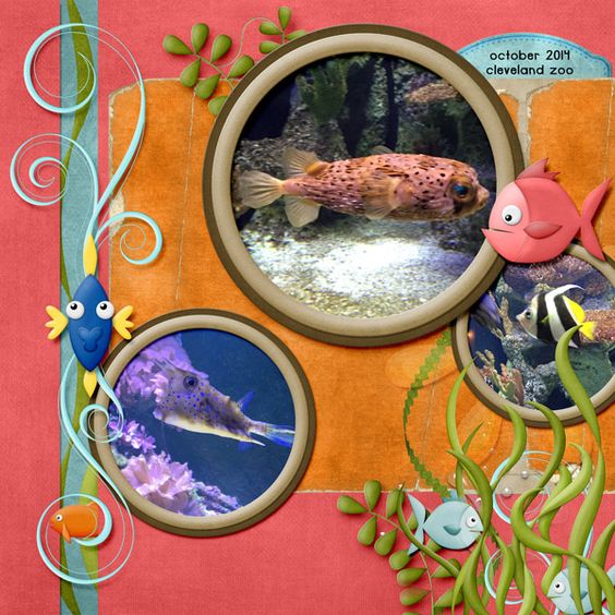 at the zoo aquarium