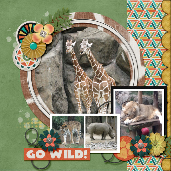 At the Zoo