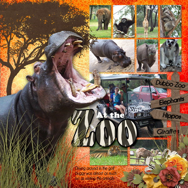 At the Zoo