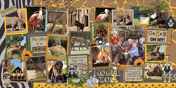 At the Zoo