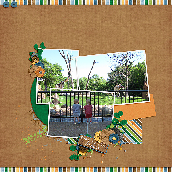 At the Zoo