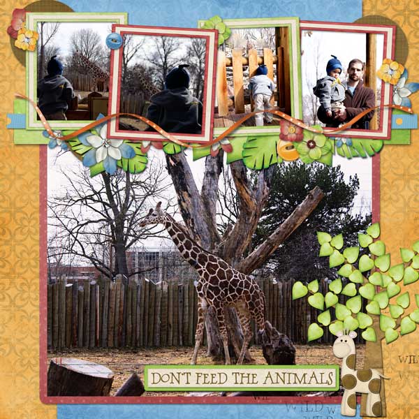 At the Zoo