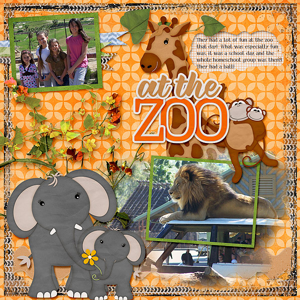 At the Zoo