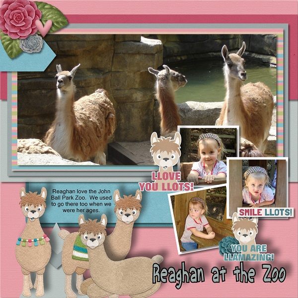 At the Zoo