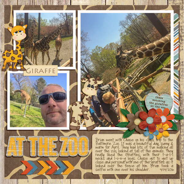 At The Zoo