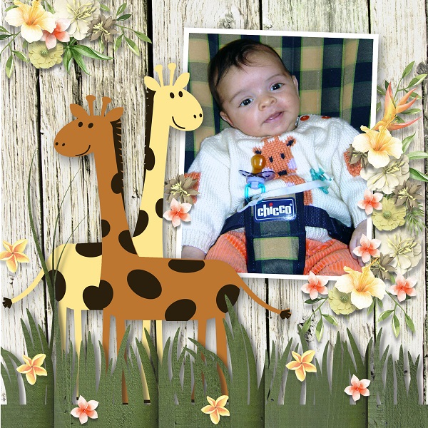 At the zoo