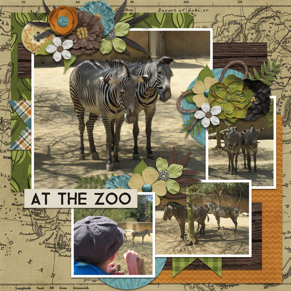at the zoo