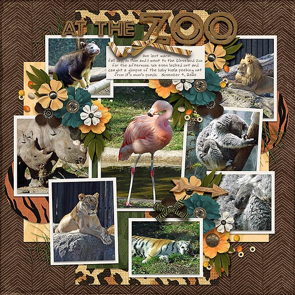 At the Zoo