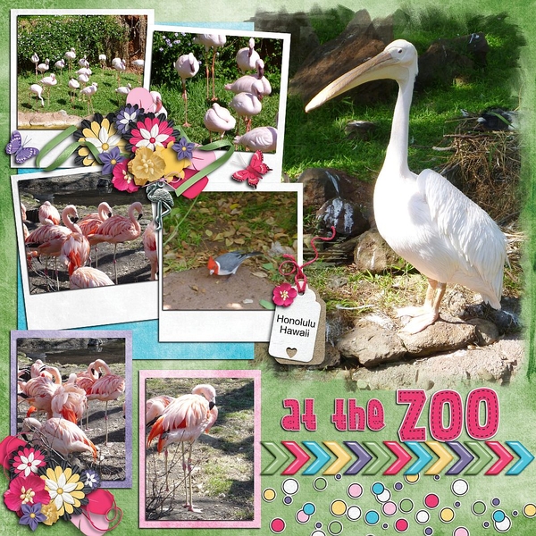 at the Zoo