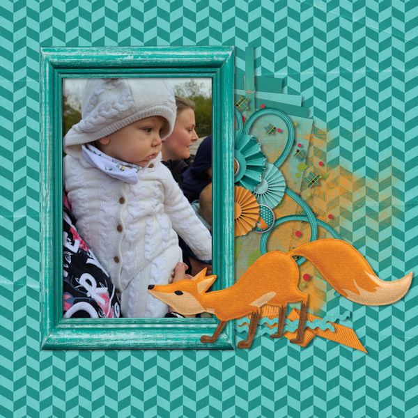 At the Zoo