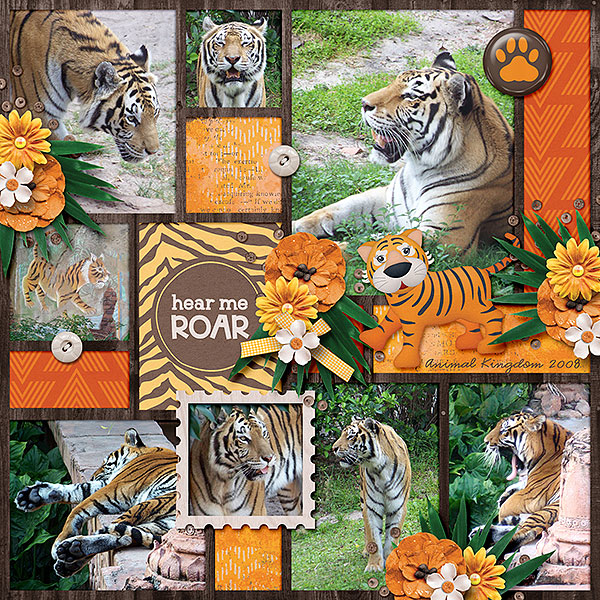 at the zoo