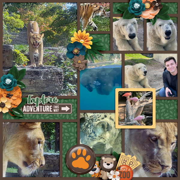 at the zoo