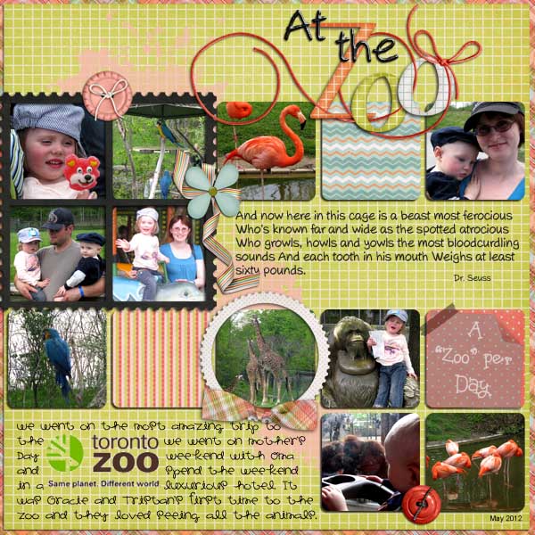 At the Zoo
