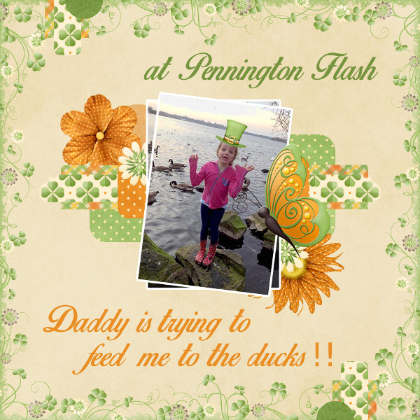 at_Pennington_Flash