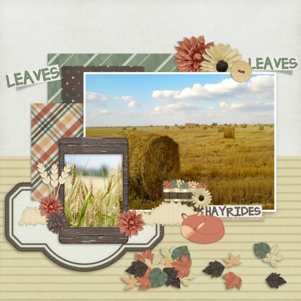 At_the_patch1