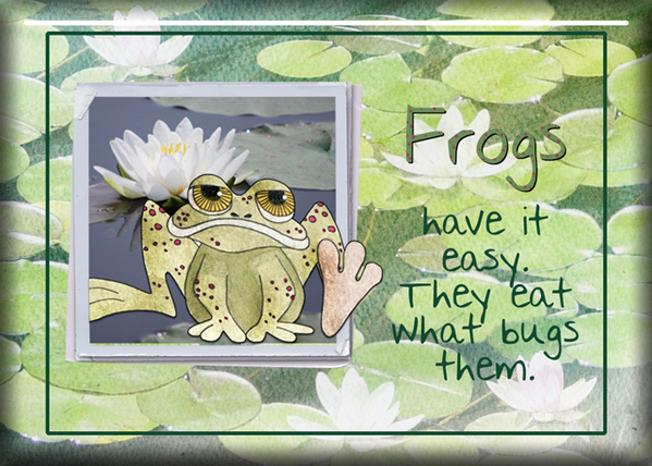 ATC 2016-102 Frogs