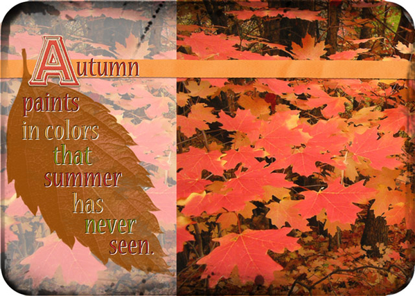 ATC 2016-49 Autumn