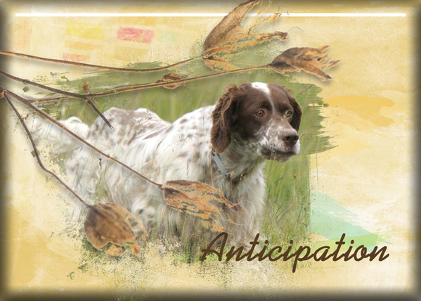 ATC 2017-01 Anticipation