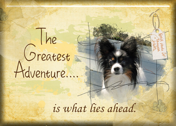 ATC 2017-03 The Greatest Adventure