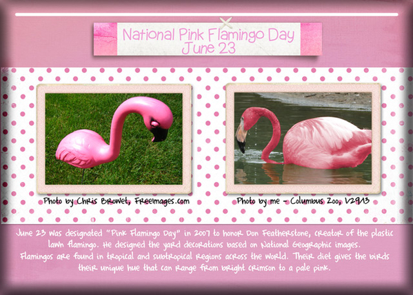 ATC 2017-108 Pink Flamingo