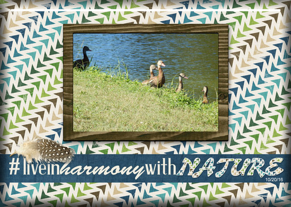 ATC 2017-124 #Live In Harmony With Nature