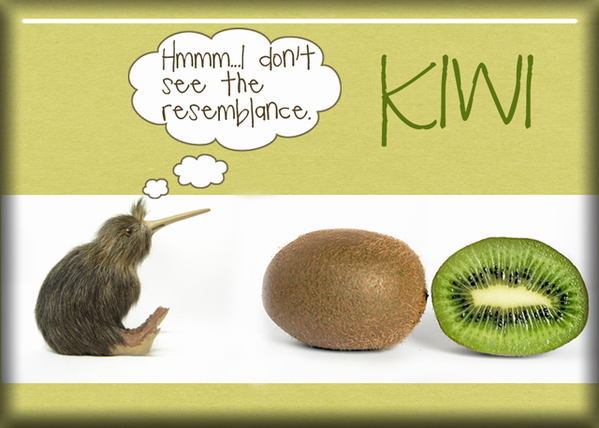 ATC 2017-126 Kiwi