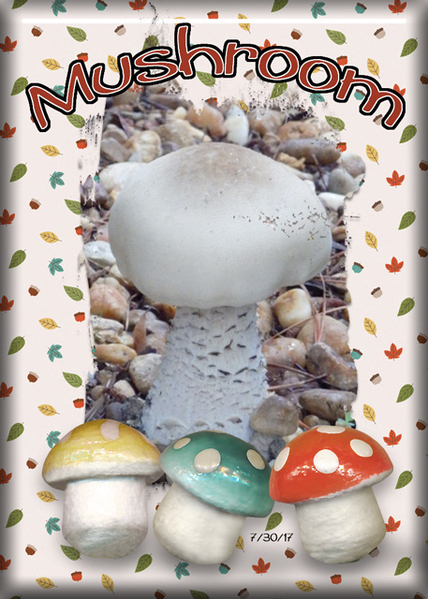 ATC 2017-142 Mushroom