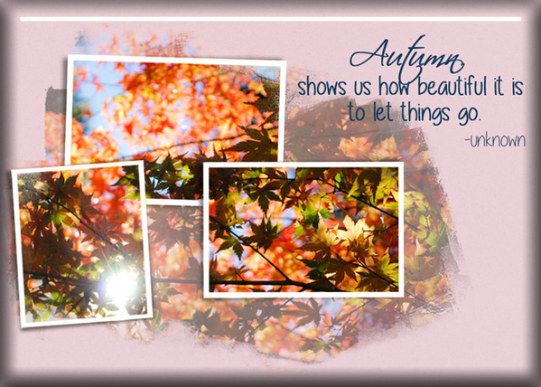 ATC 2017-154 Autumn