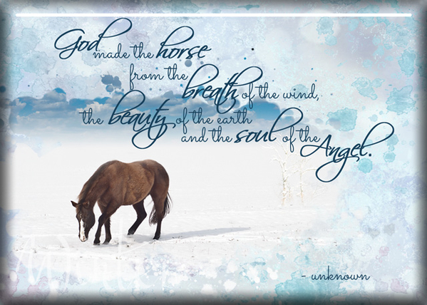 ATC 2017-170 God Made the Horse