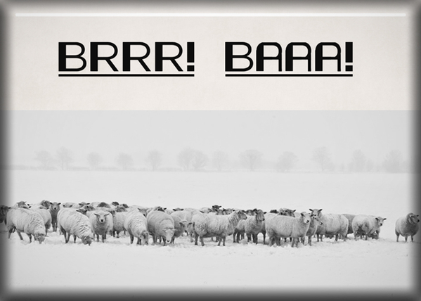 ATC 2017-177 Brrr! Baaa!