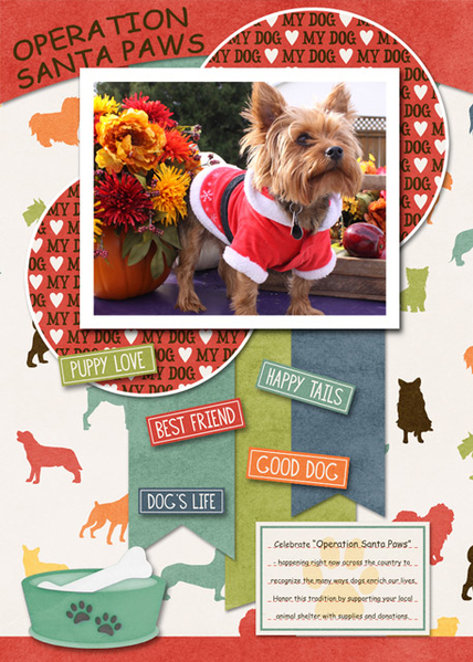 ATC 2017-178 Operation Santa Paws