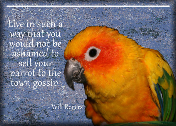 ATC 2017-18 Parrot