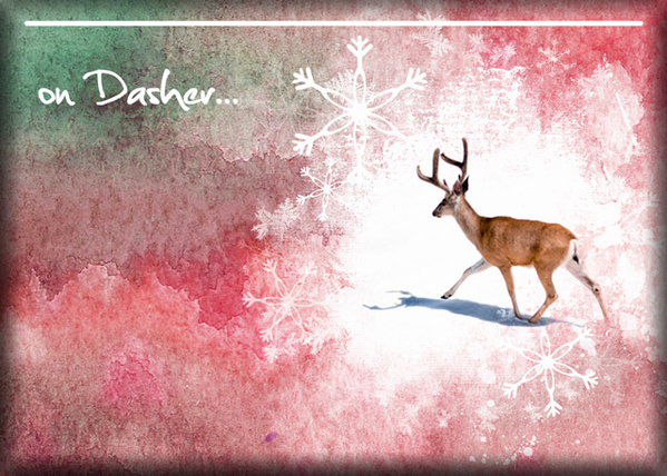 ATC 2017-196 On Dasher