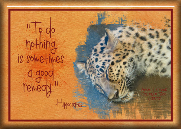 ATC 2017-31 To Do Nothing