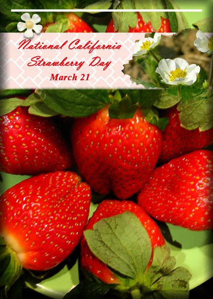 ATC 2017-43 National California Strawberry Day