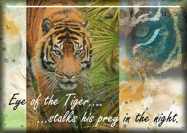 ATC 2017-53 Eye of the Tiger