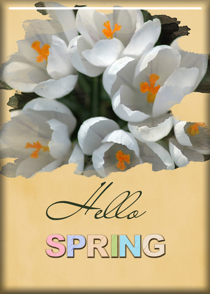 ATC 2017-56 Hello Spring