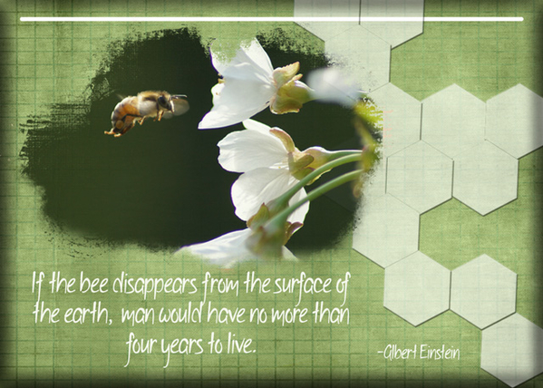 ATC 2017-66 The Bee