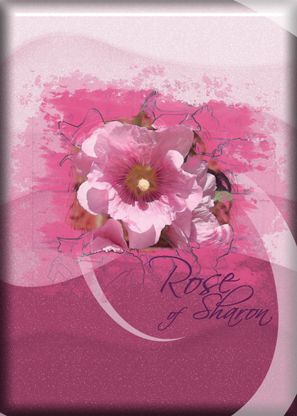 ATC 2017-75 Rose of Sharon