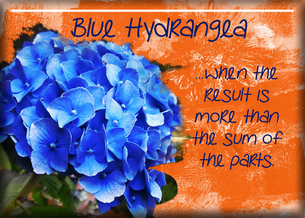 ATC 2017-84 Blue Hydrangea