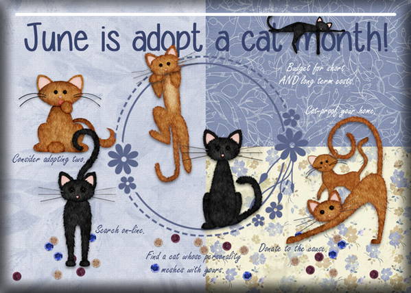 ATC 2017-87 June is Adopt a Cat Month!
