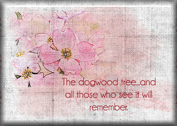 ATC 2018-007 The Dogwood Tree