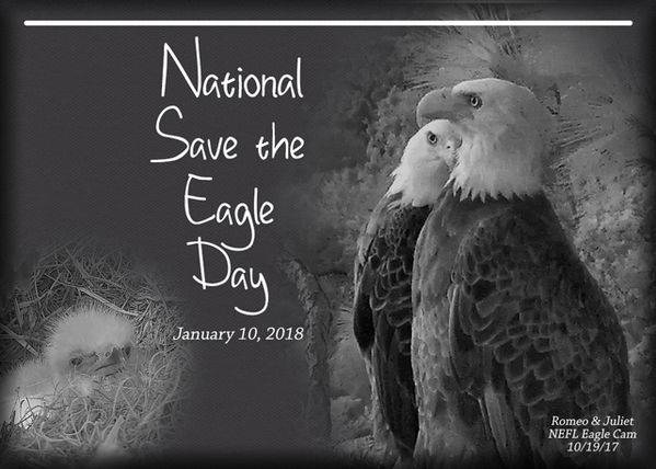 ATC 2018-008 National Save the Eagle Day