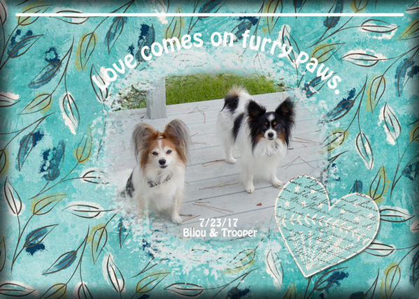ATC 2018-010 Love Comes on Furry Paws