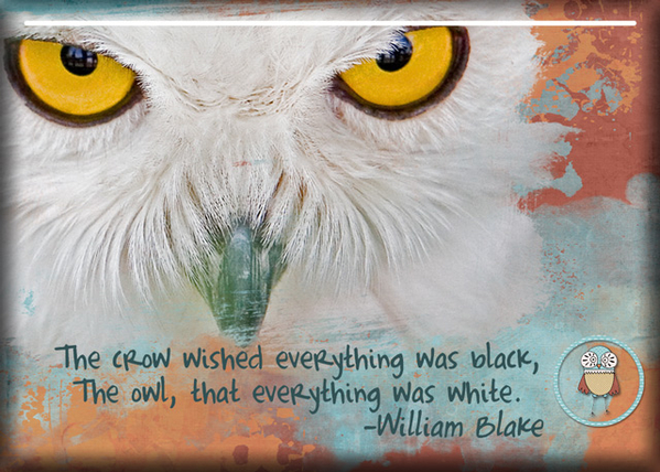 ATC 2018-061 The Crow + The Owl