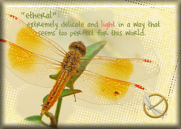 ATC 2018-063 The Dragonfly