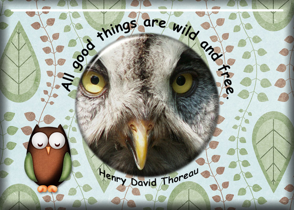 ATC 2018-095 All Good Things