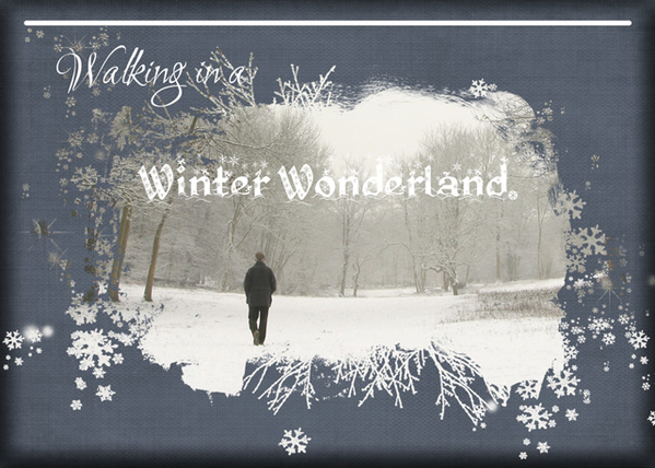 ATC 2018-110 Walking in a Winter Wonderland