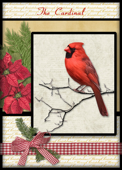 ATC 2018-114 The Cardinal