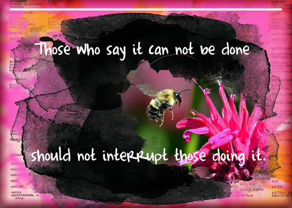 ATC 2018-115 Those Who Say